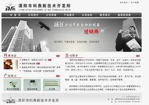 国产网页,创新驱动，引领数字时代潮流